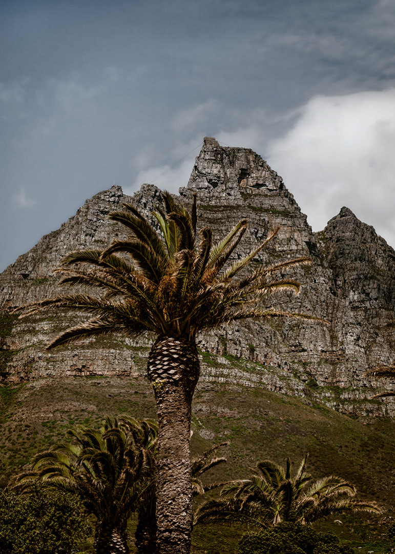 Dramatic mountains meet lush palm trees in a stunning view.-12