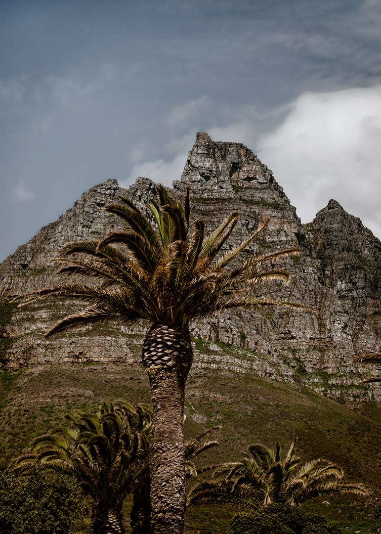 Des montagnes escarpées côtoient une végétation luxuriante de palmiers dans un panorama époustouflant.-12