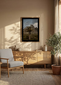 Dramatic mountains meet lush palm trees in a stunning view.-8