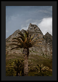 Dramatic mountains meet lush palm trees in a stunning view.-0