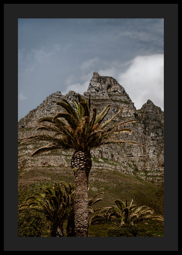 Des montagnes escarpées côtoient une végétation luxuriante de palmiers dans un panorama époustouflant.-12