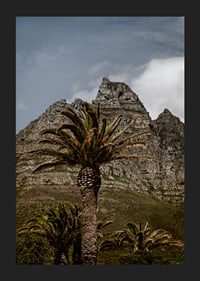 Dramatic mountains meet lush palm trees in a stunning view.-1