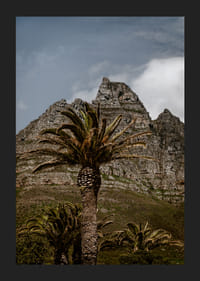 Des montagnes escarpées côtoient une végétation luxuriante de palmiers dans un panorama époustouflant.-1