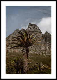 Dramatic mountains meet lush palm trees in a stunning view.-2