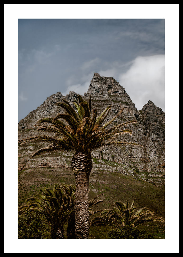 Dramatic mountains meet lush palm trees in a stunning view.-12