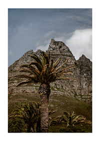 Dramatic mountains meet lush palm trees in a stunning view.-3