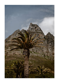 Dramatic mountains meet lush palm trees in a stunning view.-3