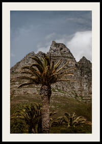 Dramatic mountains meet lush palm trees in a stunning view.-4
