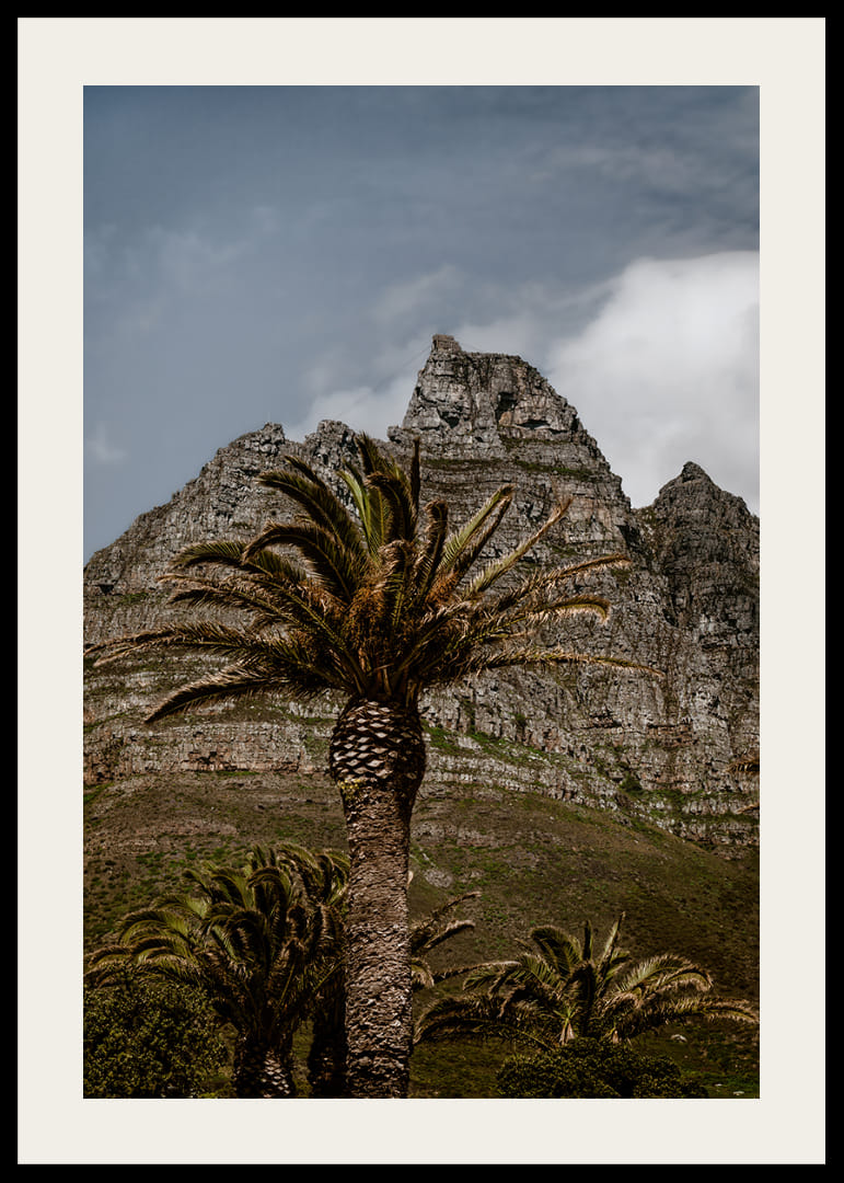 Dramatic mountains meet lush palm trees in a stunning view.-12