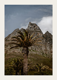 Dramatic mountains meet lush palm trees in a stunning view.-5