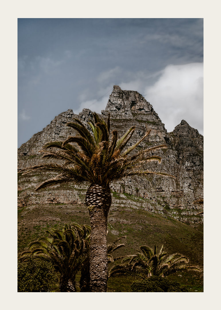 Dramatic mountains meet lush palm trees in a stunning view.-12
