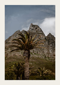 Dramatic mountains meet lush palm trees in a stunning view.-5