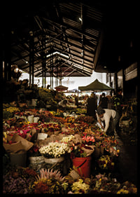 Flourishing market covered in shadows and a glow of color.-6
