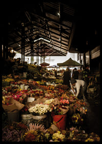 Marché florissant baigné d'ombres et de lueurs colorées.-2