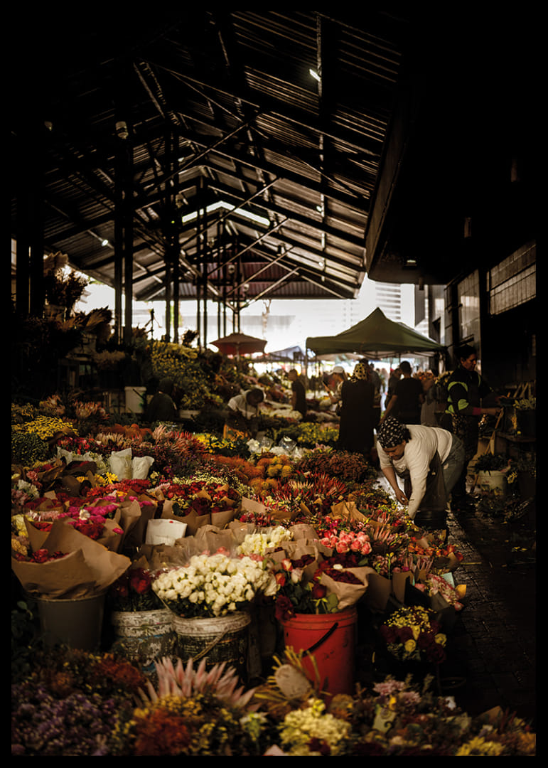 Marché florissant baigné d'ombres et de lueurs colorées.-12