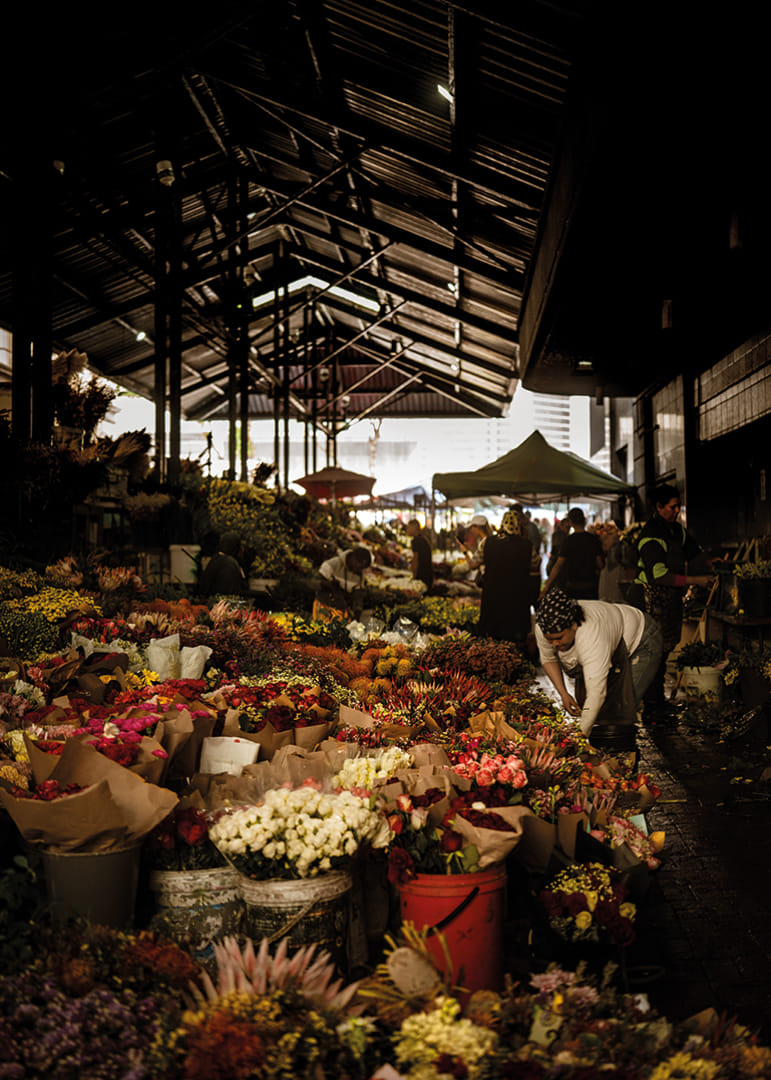 Marché florissant baigné d'ombres et de lueurs colorées.-12