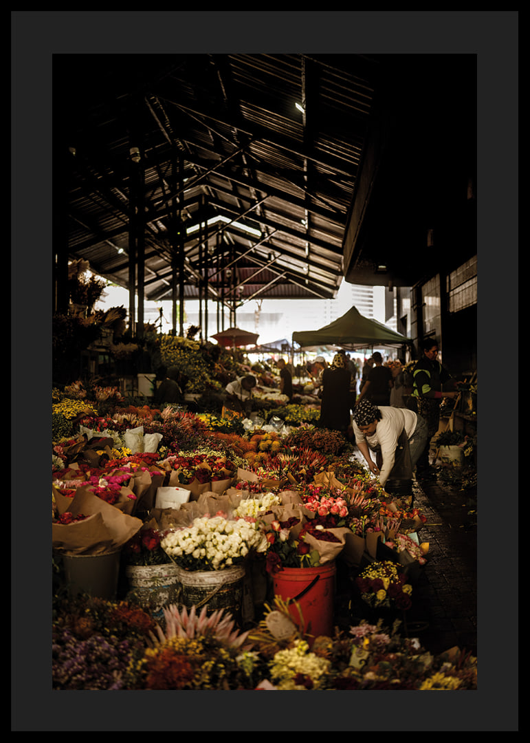 Flourishing market covered in shadows and a glow of color.-12