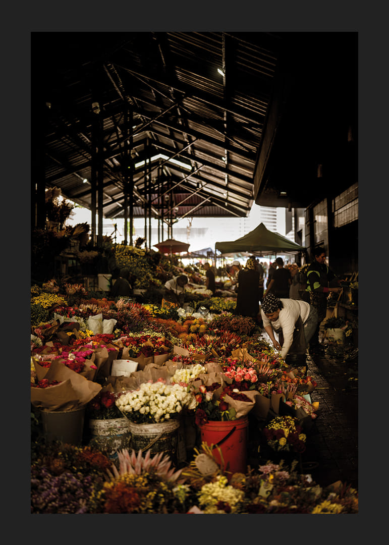 Marché florissant baigné d'ombres et de lueurs colorées.-12