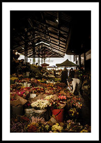 Flourishing market covered in shadows and a glow of color.-2