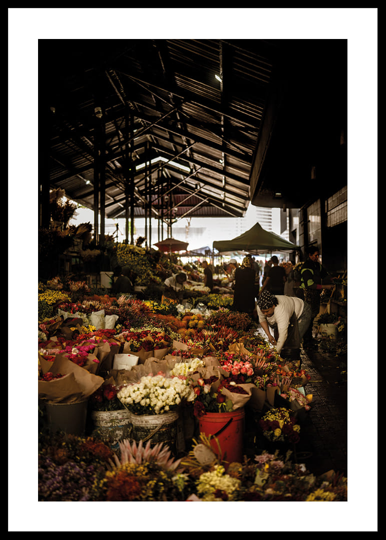 Flourishing market covered in shadows and a glow of color.-12