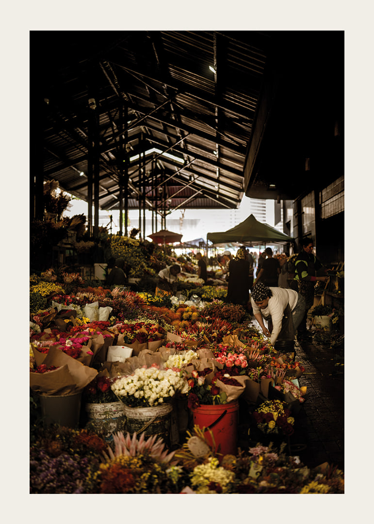 Flourishing market covered in shadows and a glow of color.-12