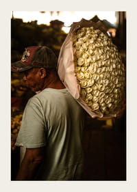 Cozy café with vintage lighting and wooden interior.-5