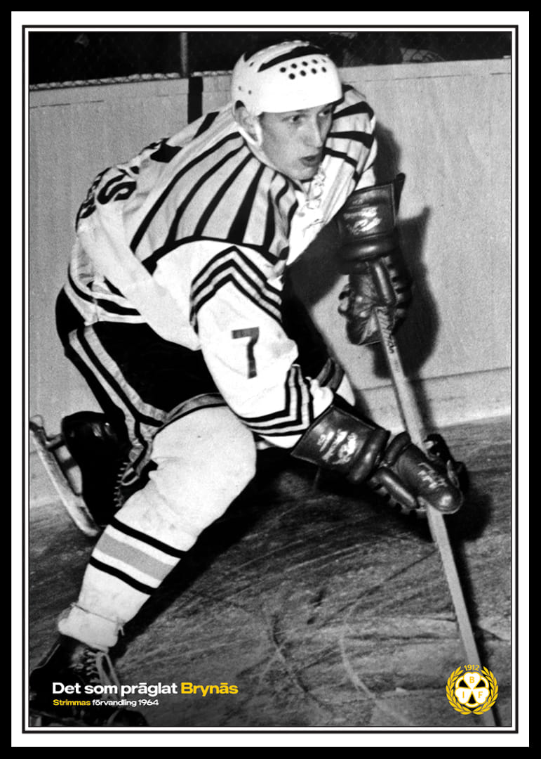 Det Som Präglat Brynäs Stimmas Förvandling 1964-12