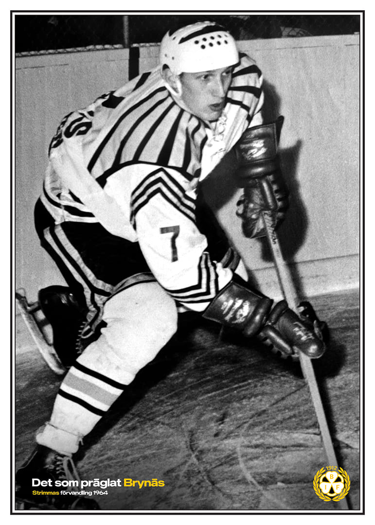 Det Som Präglat Brynäs Stimmas Förvandling 1964-12