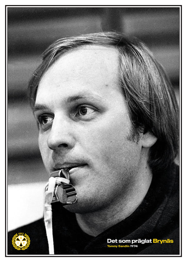 Poster Tommy Sandlin 1974