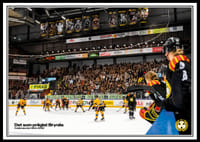 Det Som Präglat Brynäs Publikrekordet SDHL 2022-0