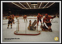 Det Som Präglat Brynäs Dackes Målfest 1993-0