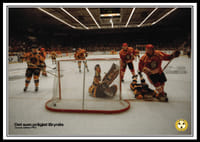 Det Som Präglat Brynäs Dackes Målfest 1993-0