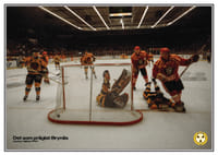 Det Som Präglat Brynäs Dackes Målfest 1993-1