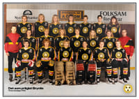 Det Som Präglat Brynäs Första Damlaget 1980-1