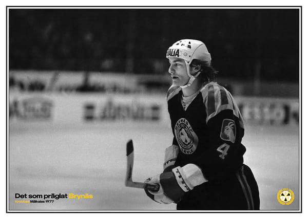 Poster Krobbes Målkalas 1977