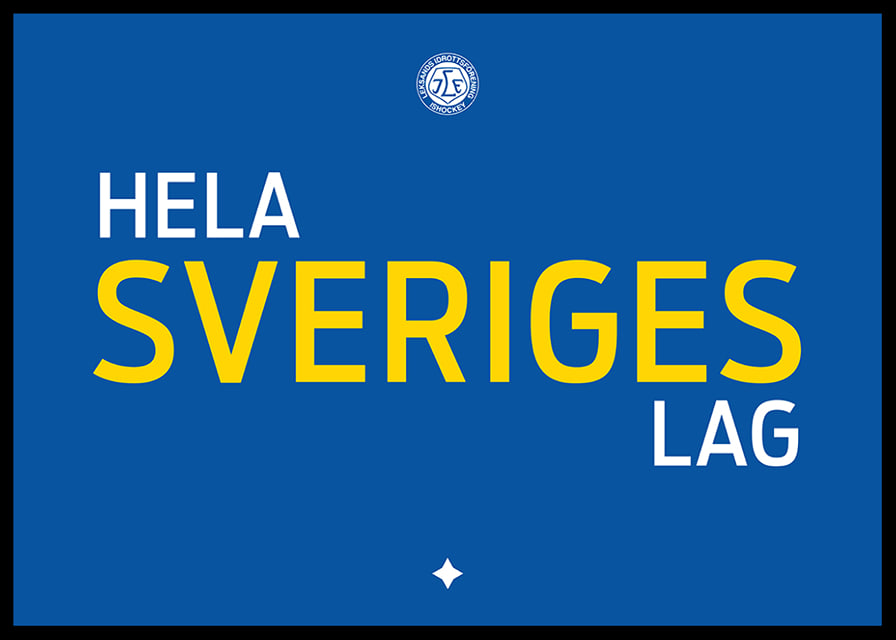 Hela Sveriges Lag Leksand IF Blå-12