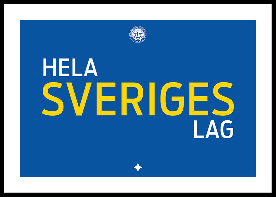 Hela Sveriges Lag Leksand IF Blå-12