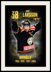 Janne Larsson Hedringsvepa Brynäs-2