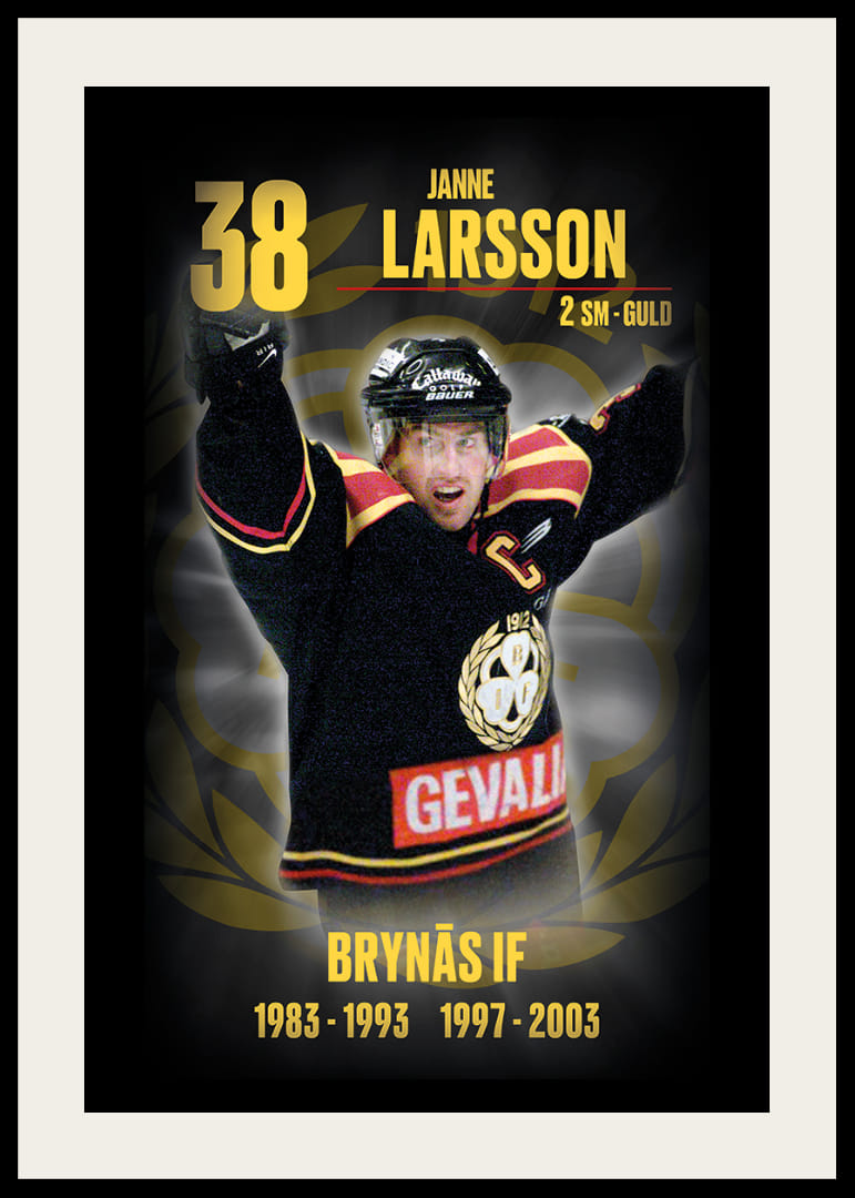 Janne Larsson Hedringsvepa Brynäs-12