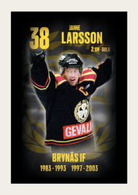 Janne Larsson Hedringsvepa Brynäs-3