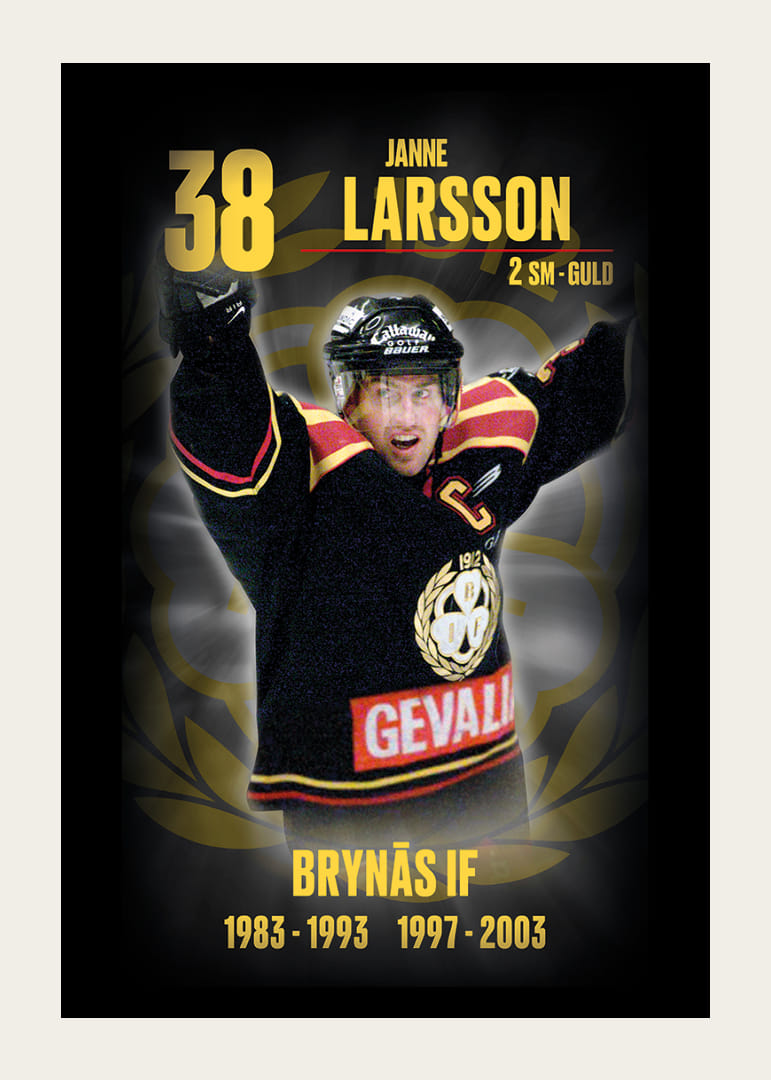 Janne Larsson Hedringsvepa Brynäs-12