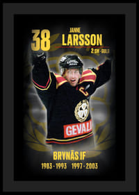 Janne Larsson Hedringsvepa Brynäs-4