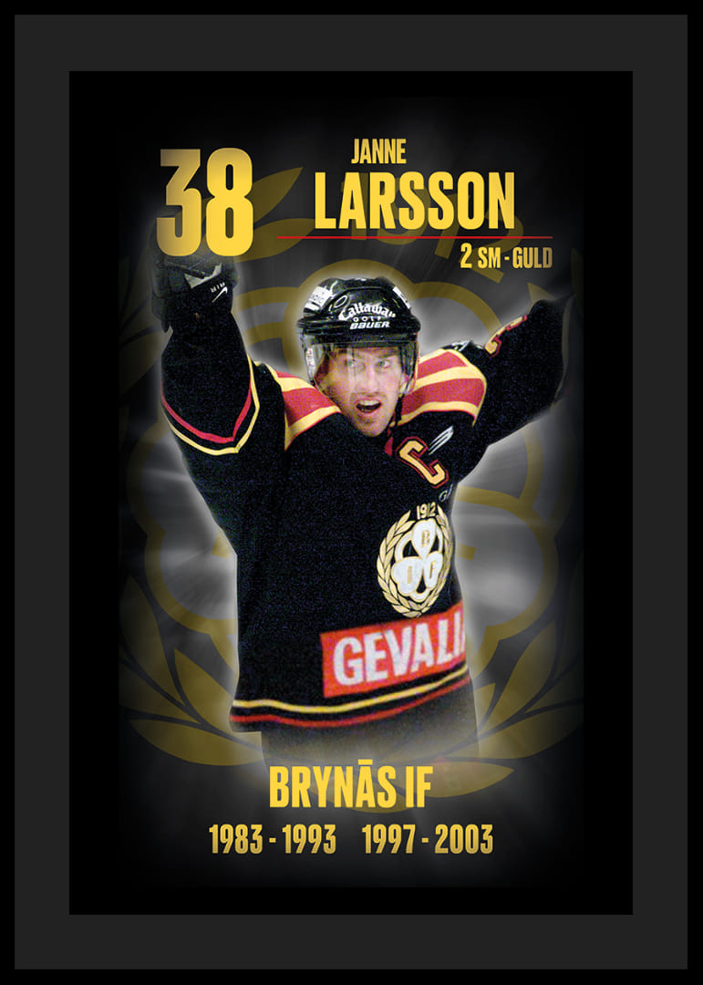 Janne Larsson Hedringsvepa Brynäs-12