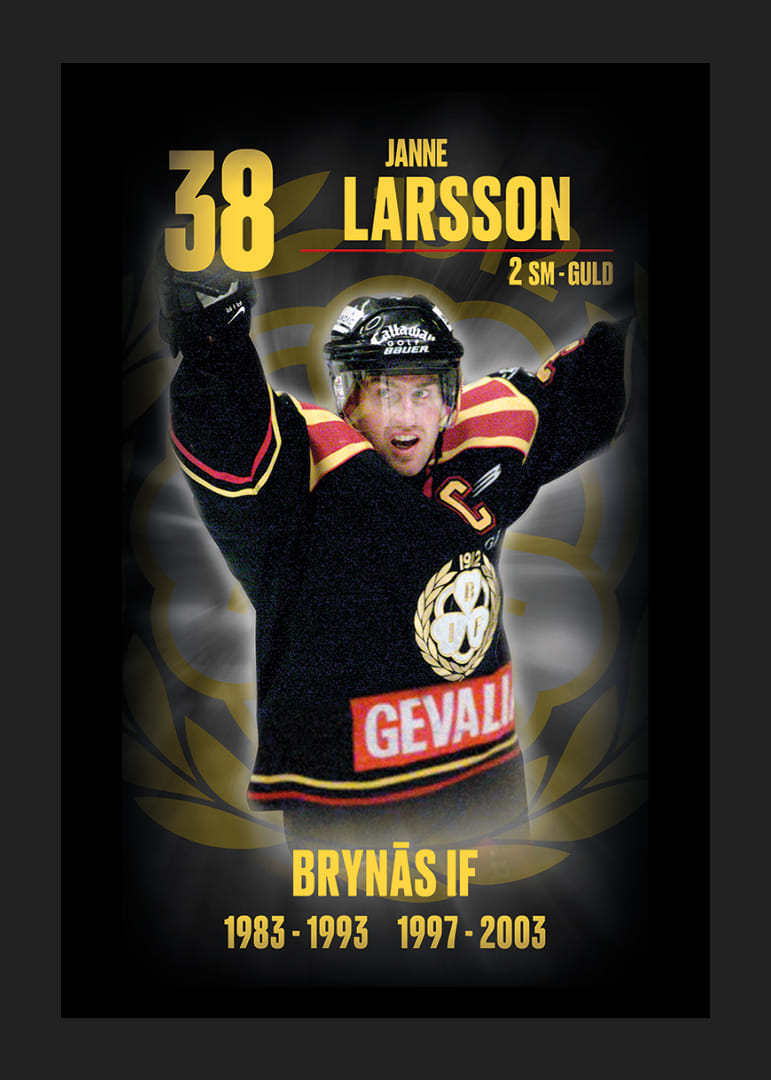 Janne Larsson Hedringsvepa Brynäs-12