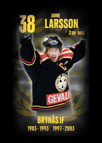 Janne Larsson Hedringsvepa Brynäs-6