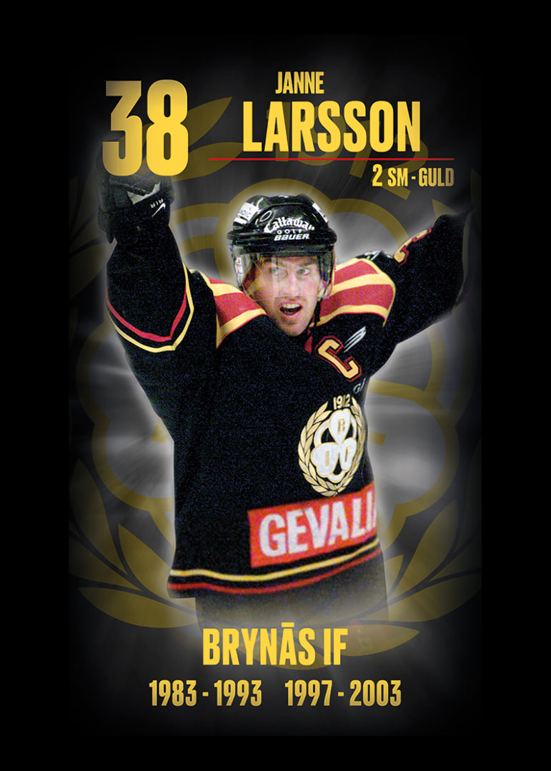 Janne Larsson Hedringsvepa Brynäs-12