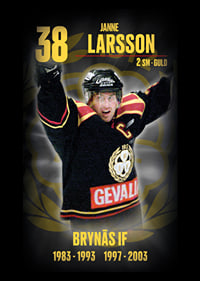 Janne Larsson Hedringsvepa Brynäs-7