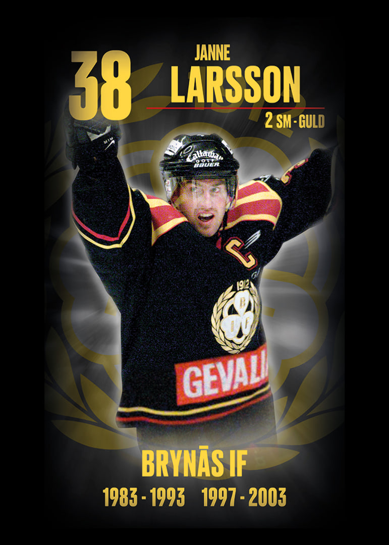 Janne Larsson Hedringsvepa Brynäs-12