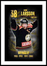 Janne Larsson Hedringsvepa Brynäs-0
