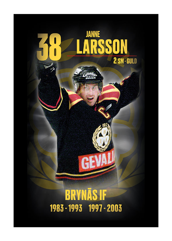 Poster Janne Larsson Hedringsvepa Brynäs